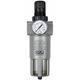 Filter & Reducer In Line 1" Regulator